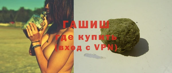 прущие грибы Гусиноозёрск