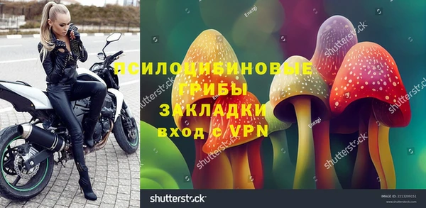ПСИЛОЦИБИНОВЫЕ ГРИБЫ Балахна
