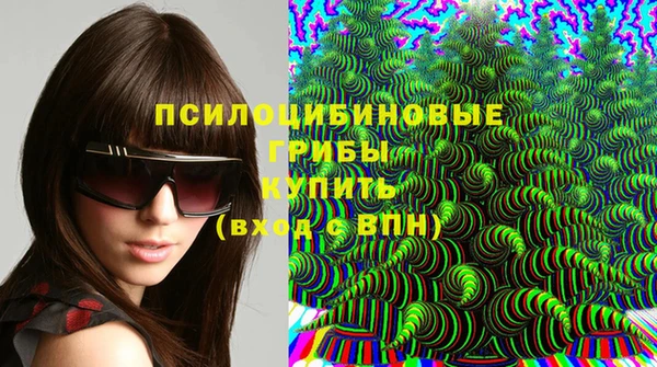 ПСИЛОЦИБИНОВЫЕ ГРИБЫ Балахна